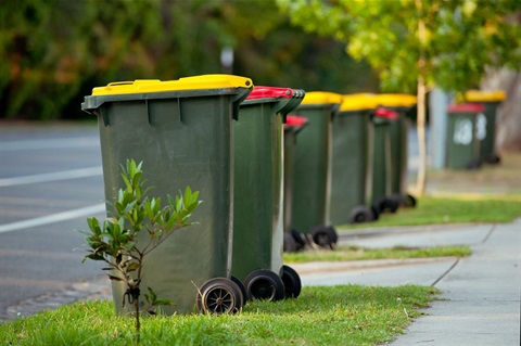 bins.jpg