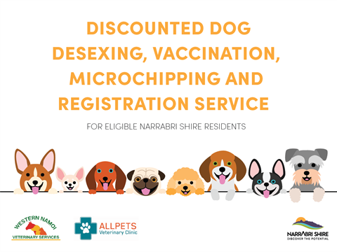 Govt dog clinic near me cheap
